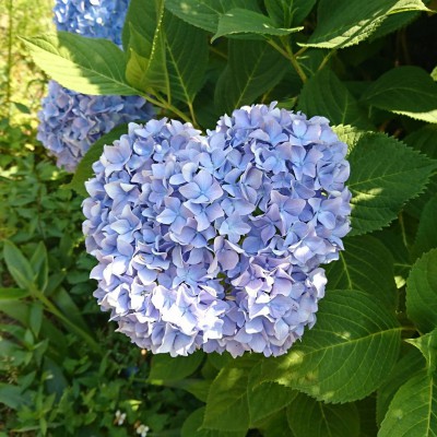 IMG_20170615_185731_823